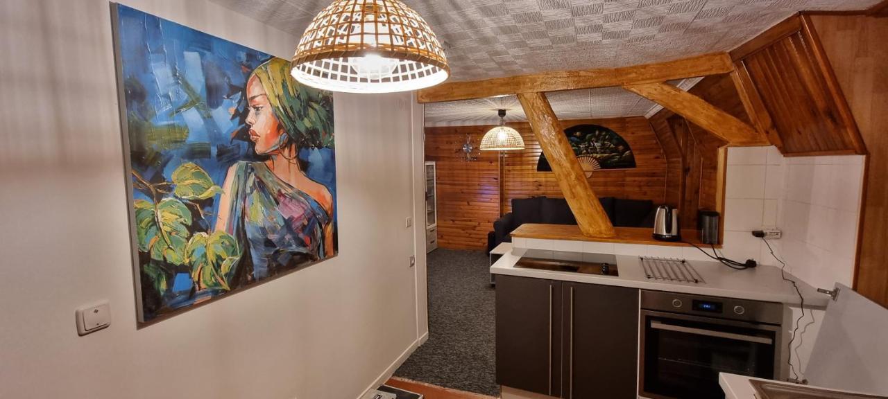 Chambre Privee Numero 1 Dans Un Superbe Appartement En Colocation Montataire 外观 照片